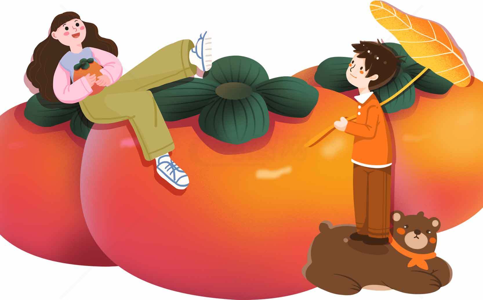 秋日柿子主题插画设计：温馨与童趣的完美结合素材