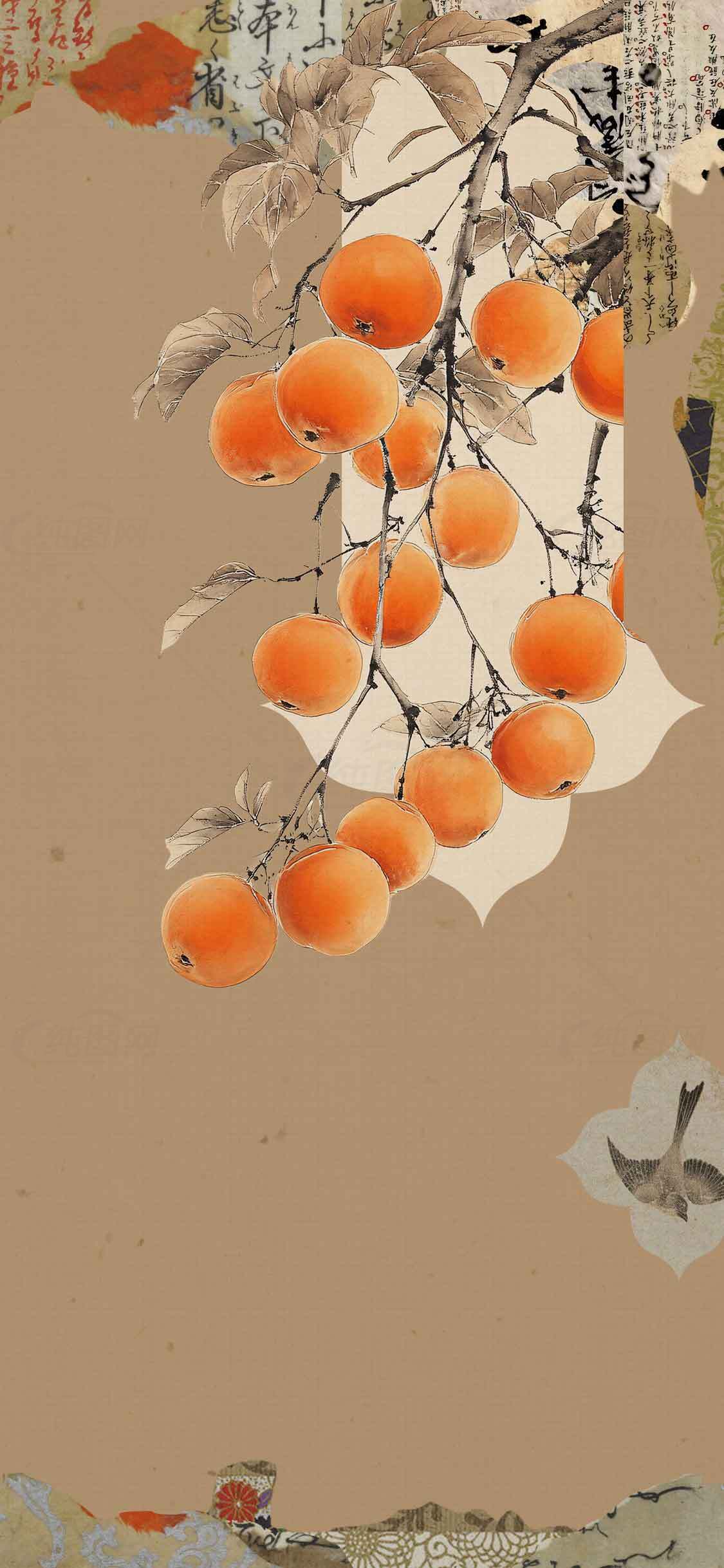 中国风柿子挂画背景图片素材