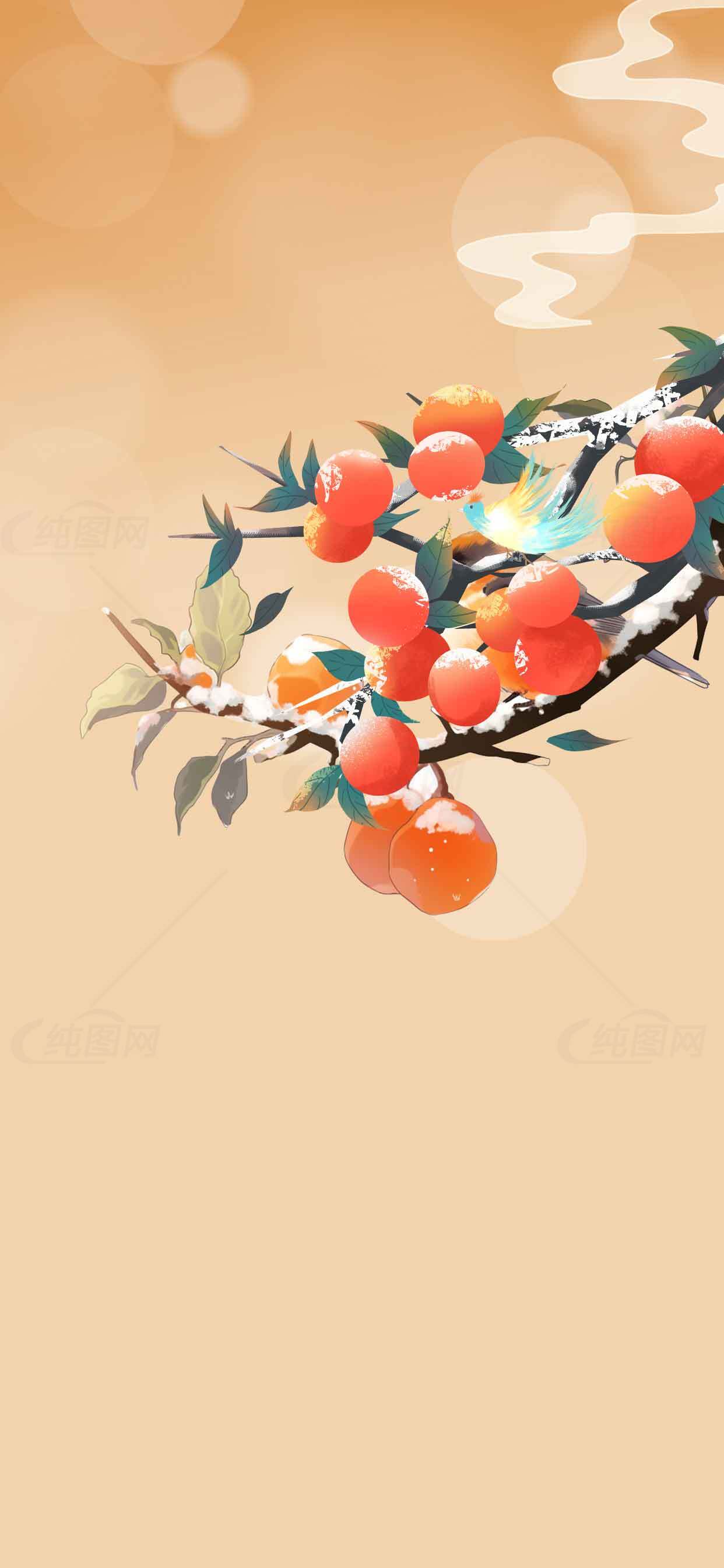 冬日柿子插画背景图片素材