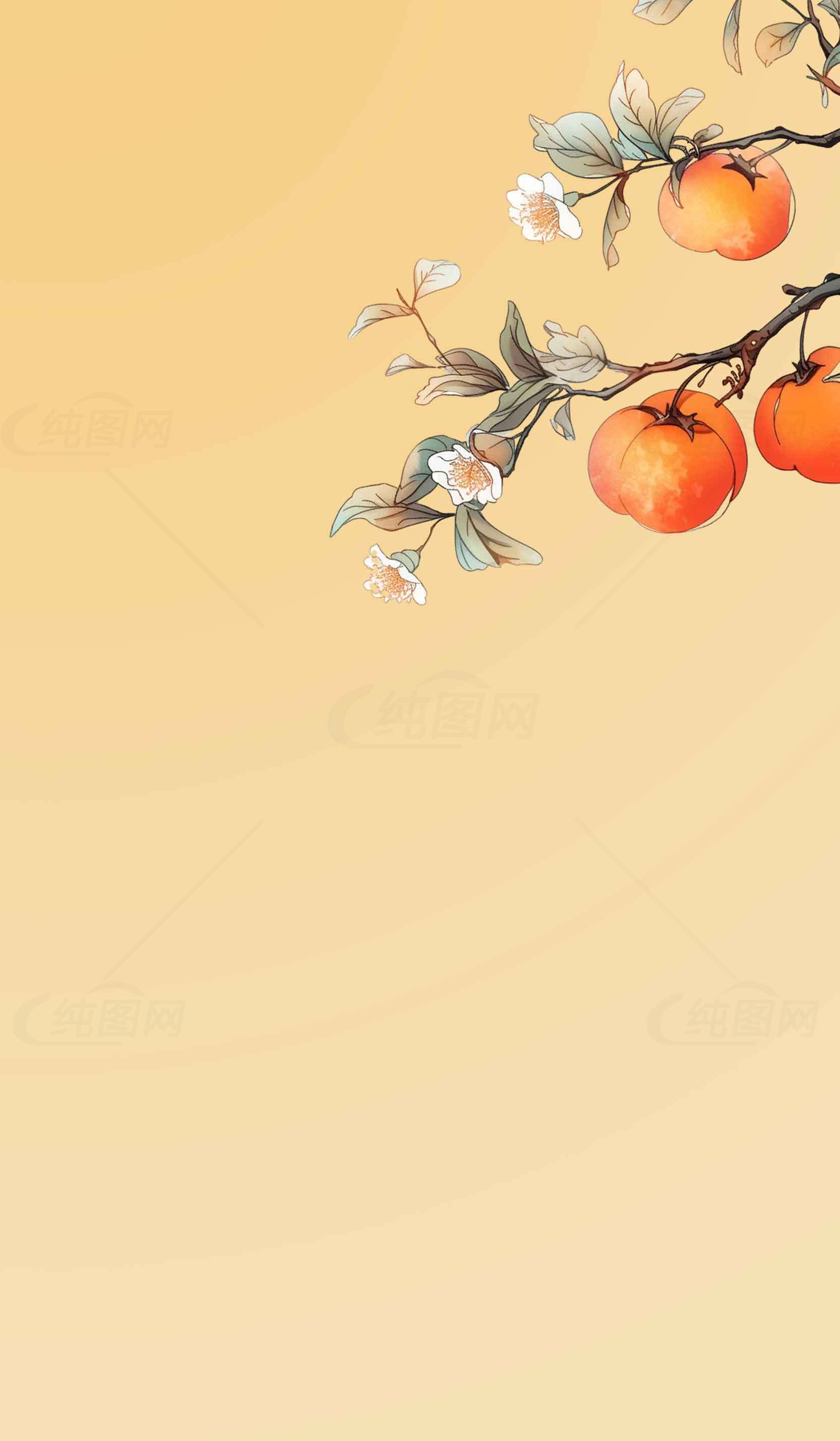 柿子主题简约风插画背景图素材