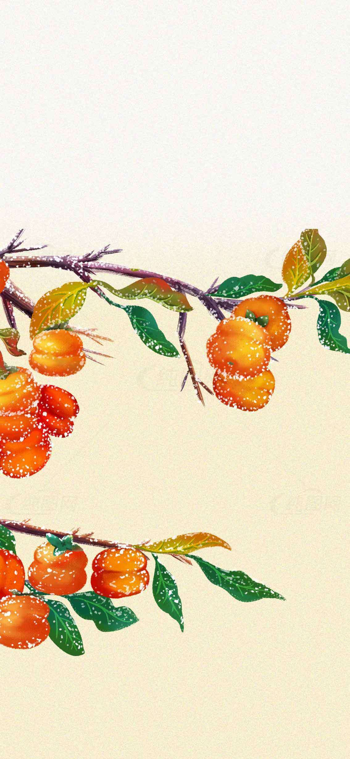 秋季柿子树枝插画背景图片素材