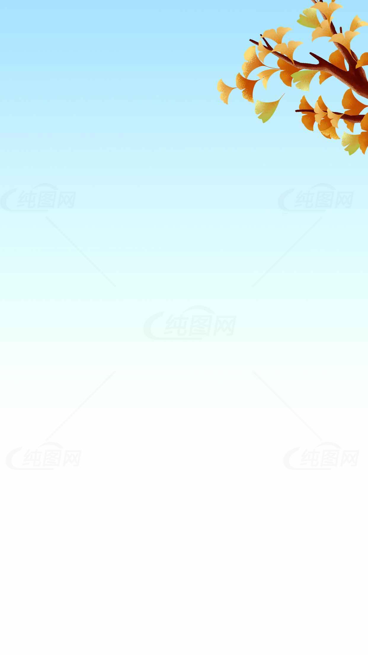 秋季树枝与蓝天背景图片素材