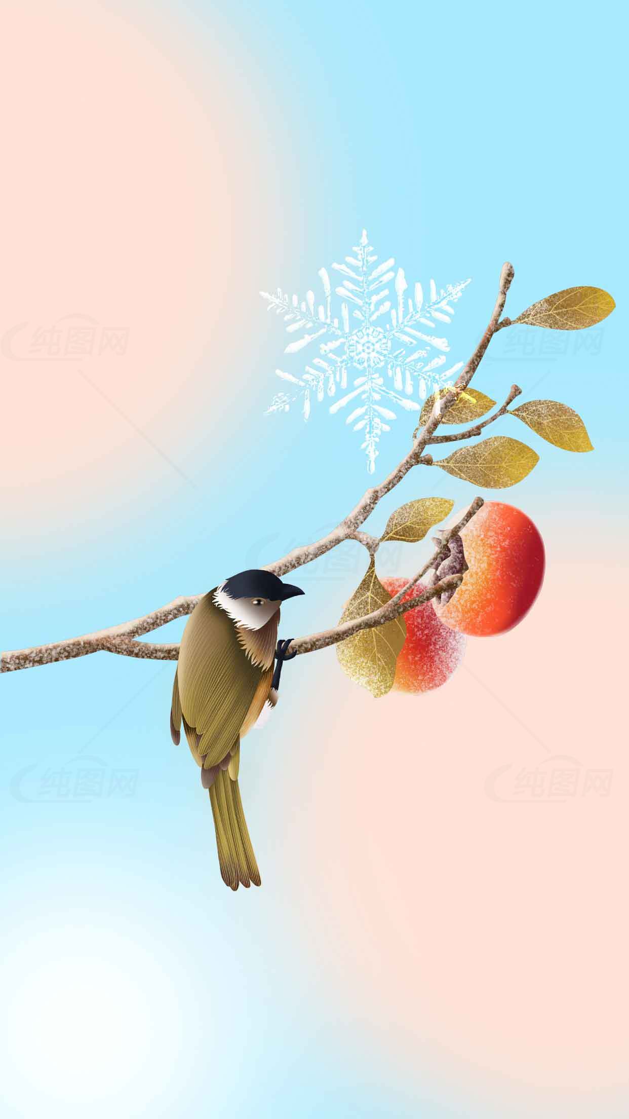 冬季鸟儿与苹果树枝唯美插画素材