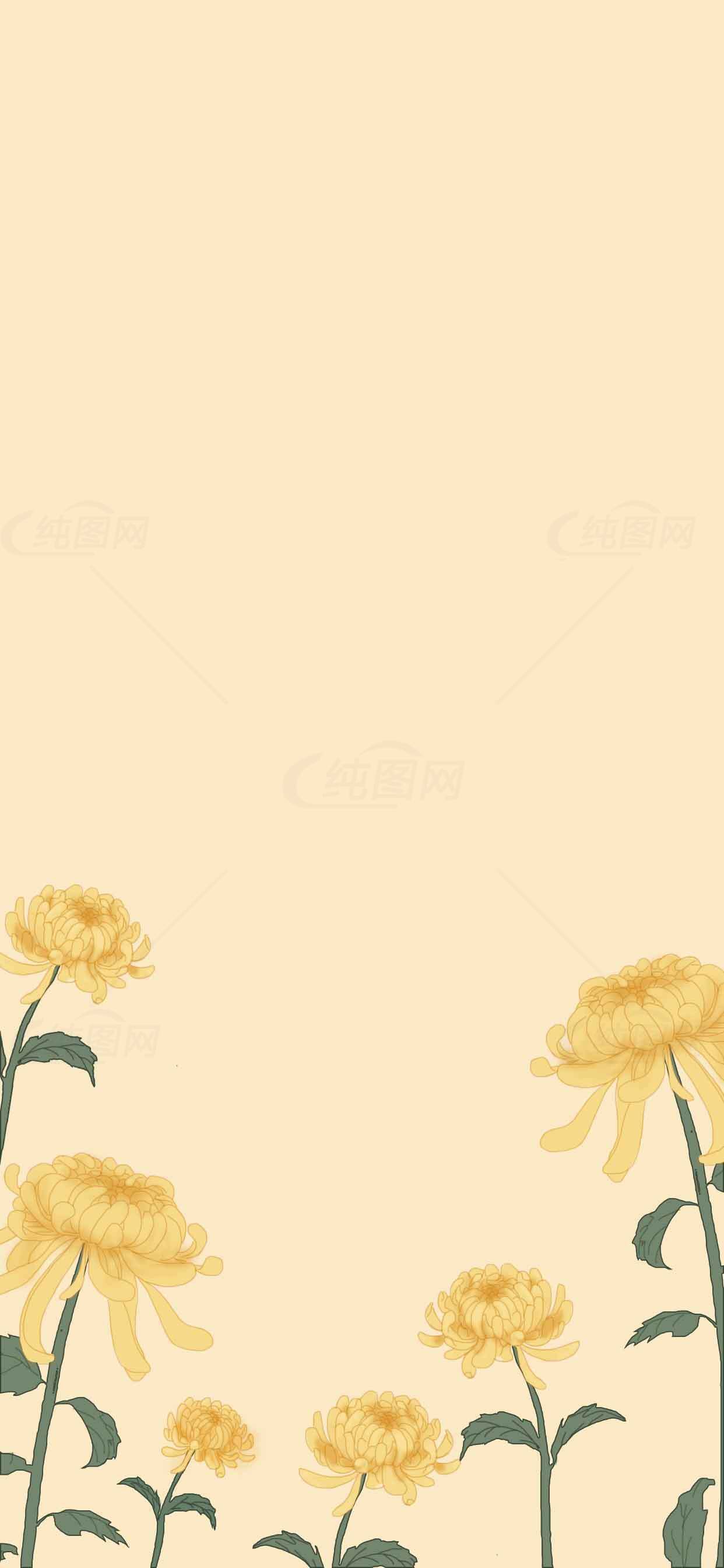 唯美黄色菊花背景图片素材