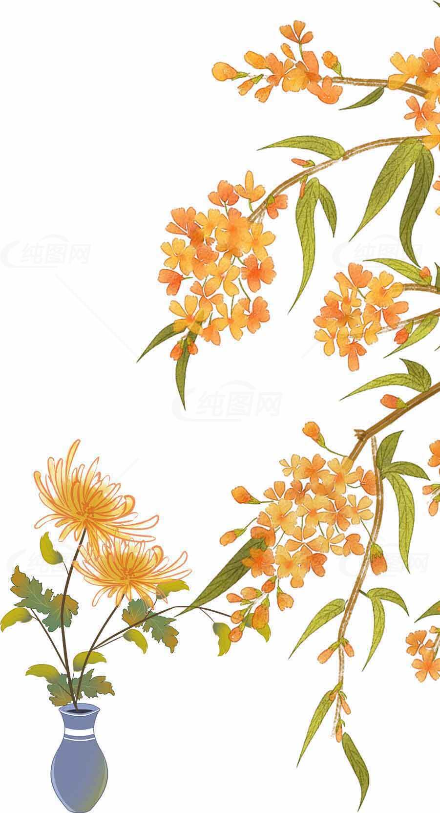 秋季花卉插画设计：菊花与橙色枝条的唯美搭配素材