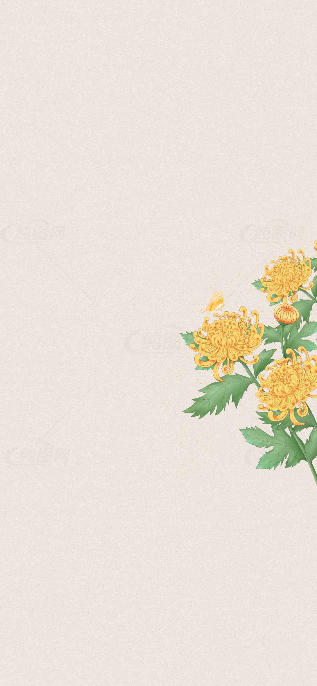 简约黄色菊花插画背景图片素材