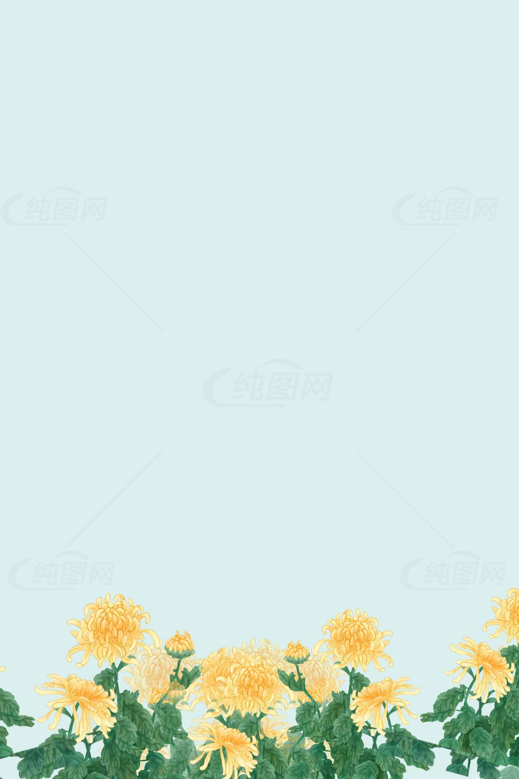 清新黄色菊花背景图片素材