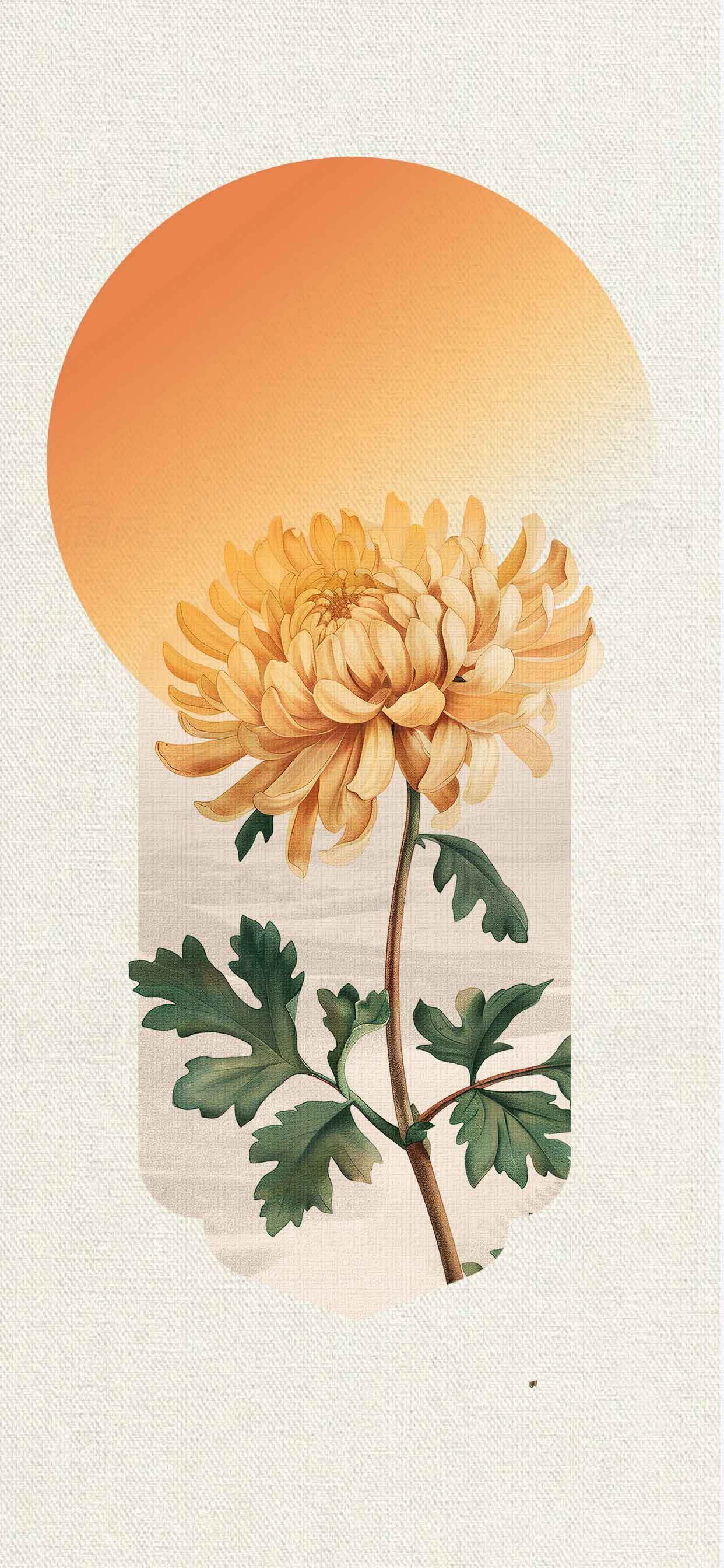 秋日暖阳下的菊花插画设计素材