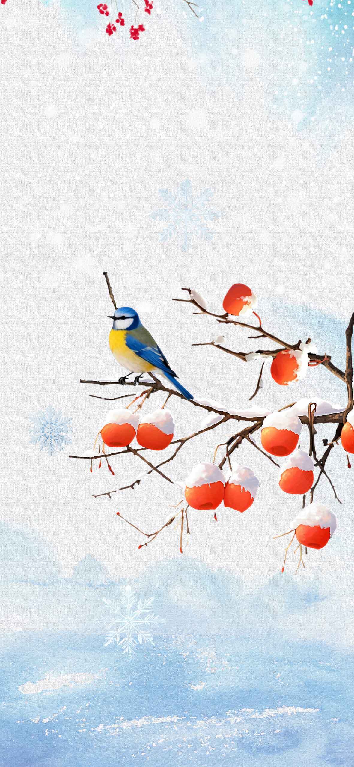 冬季雪景与柿子树上的蓝山雀插画素材