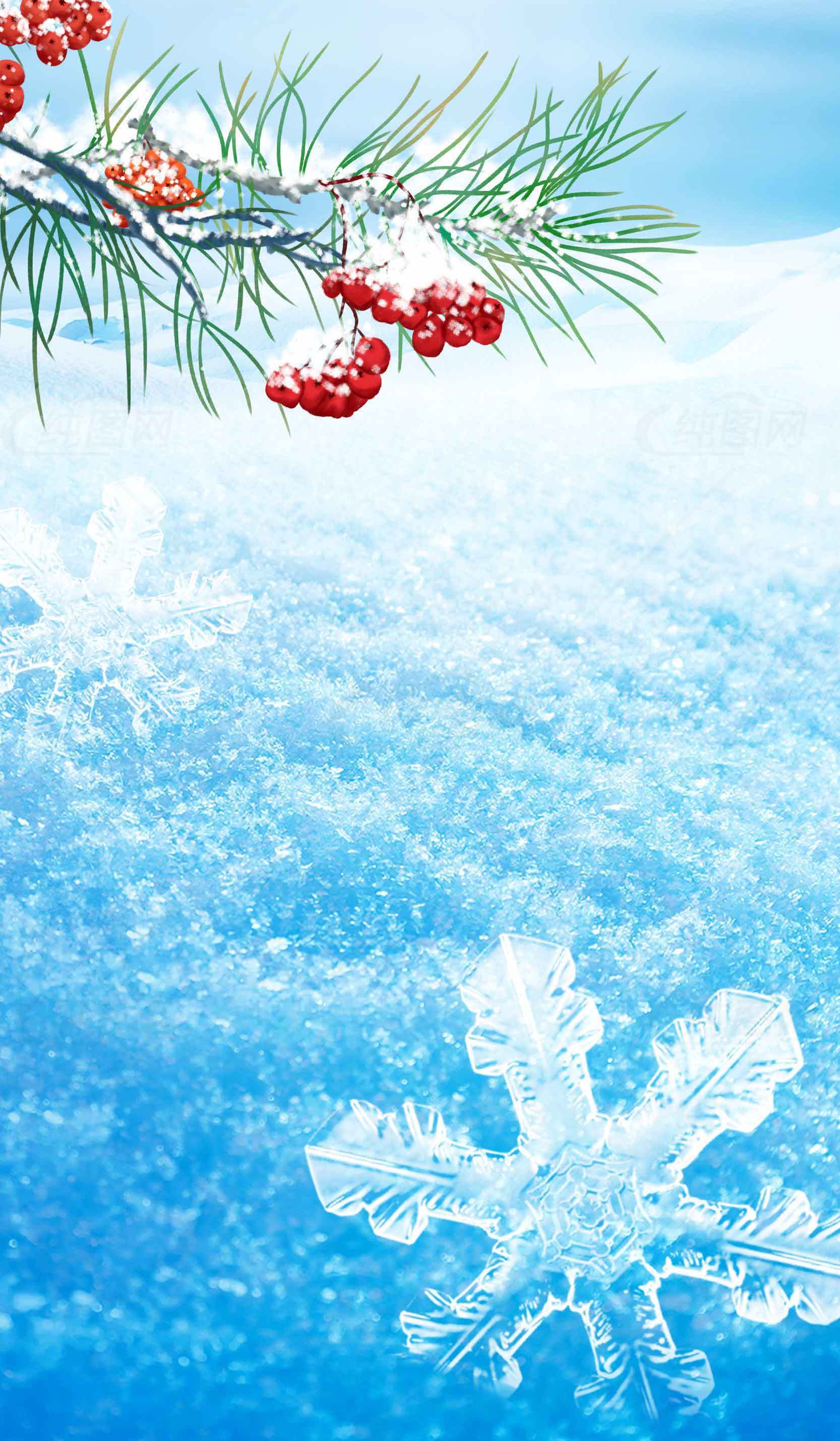 冬季雪景与冰晶特写图片素材