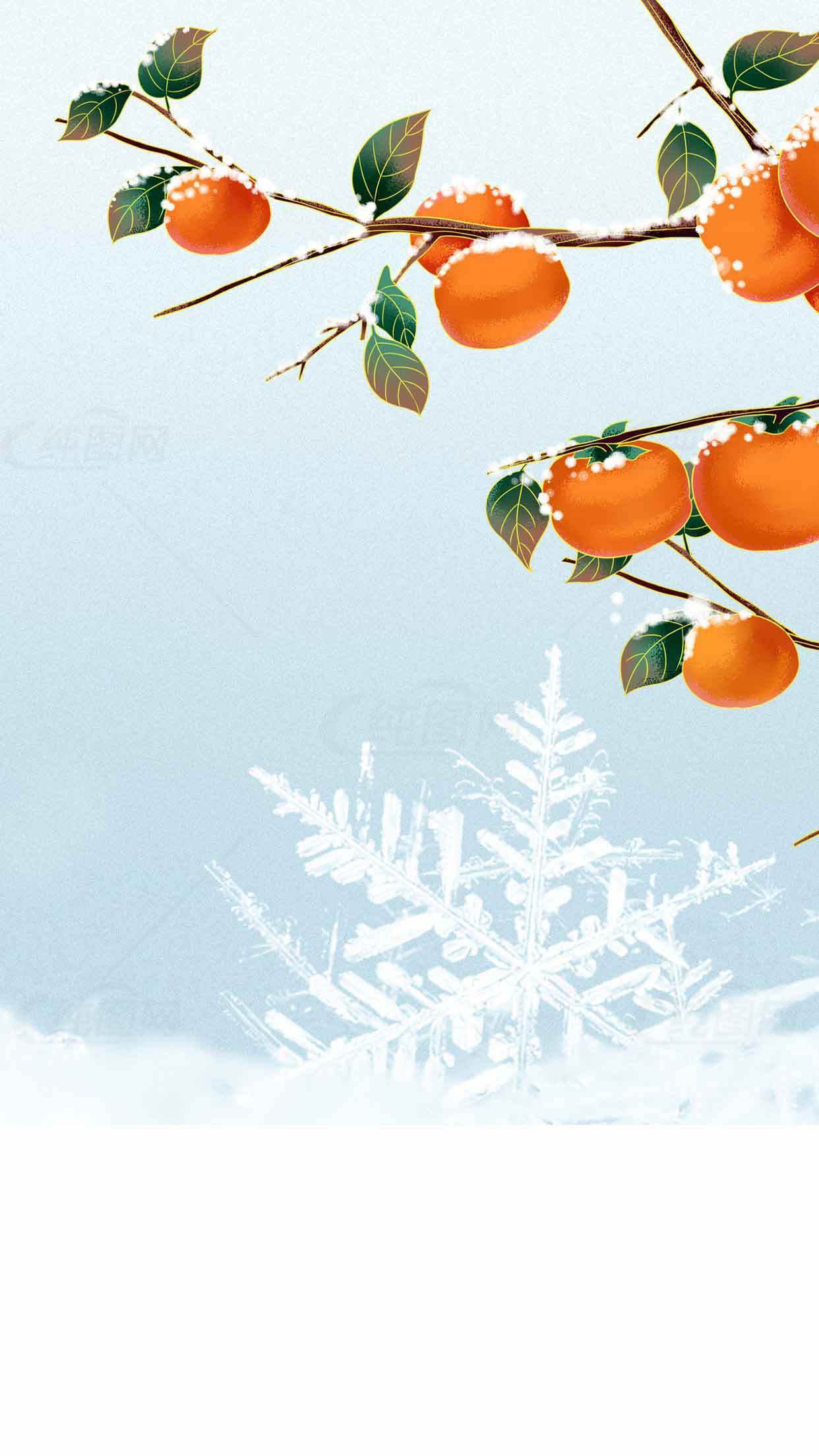 冬日雪景中的柿子树唯美图片素材