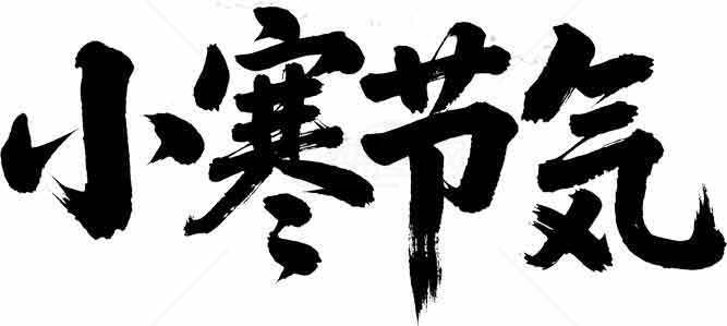 小寒节气黑白艺术字体设计素材