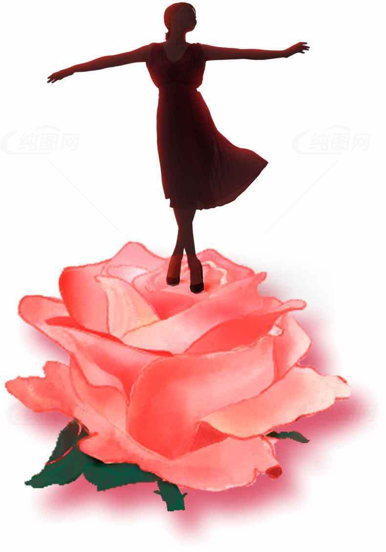 舞动的玫瑰之美：优雅与浪漫的结合素材