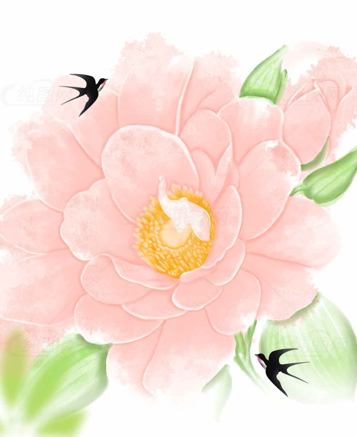 粉色花朵与燕子插画图片素材
