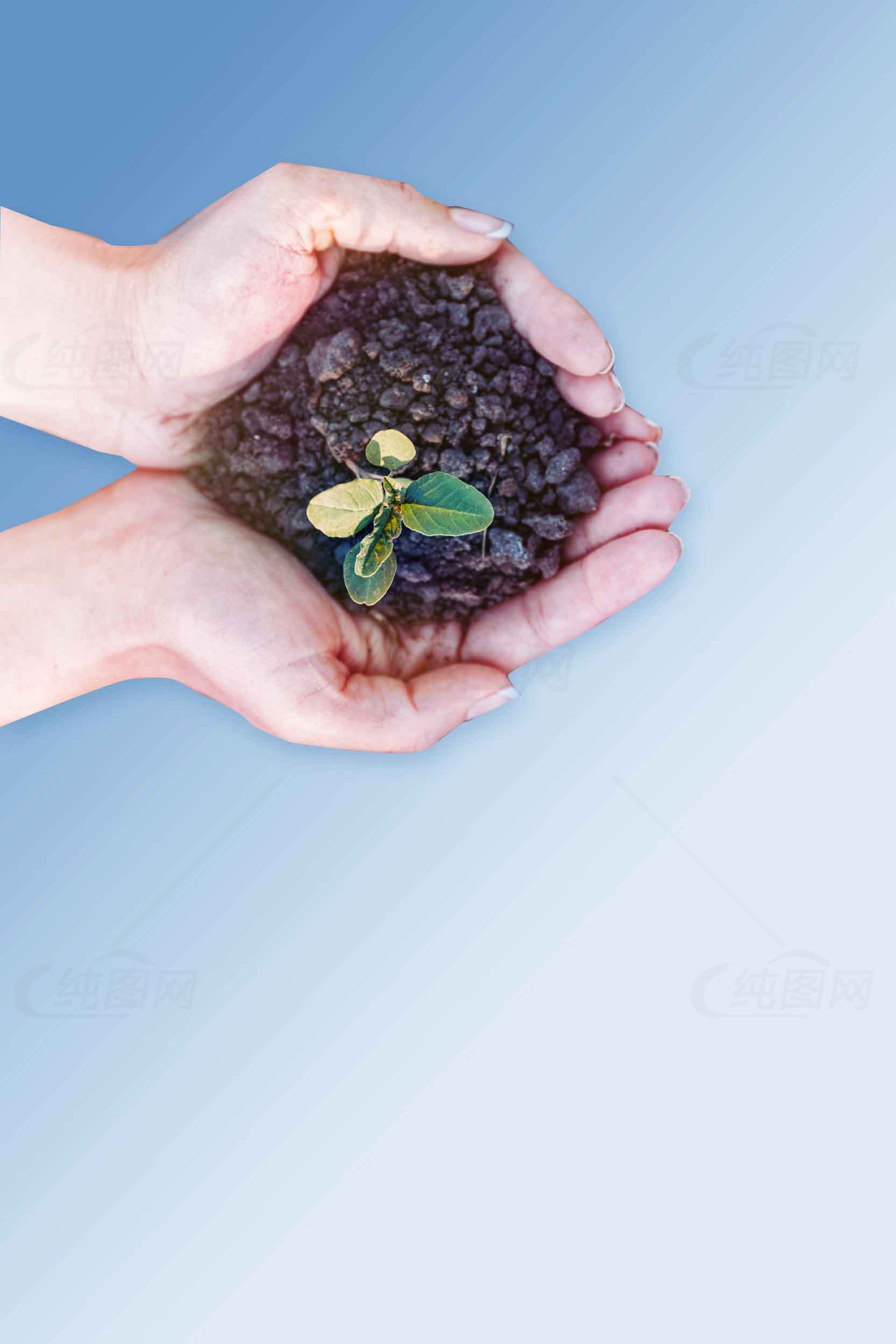保护环境的绿色行动：手捧幼苗与土壤的象征意义素材