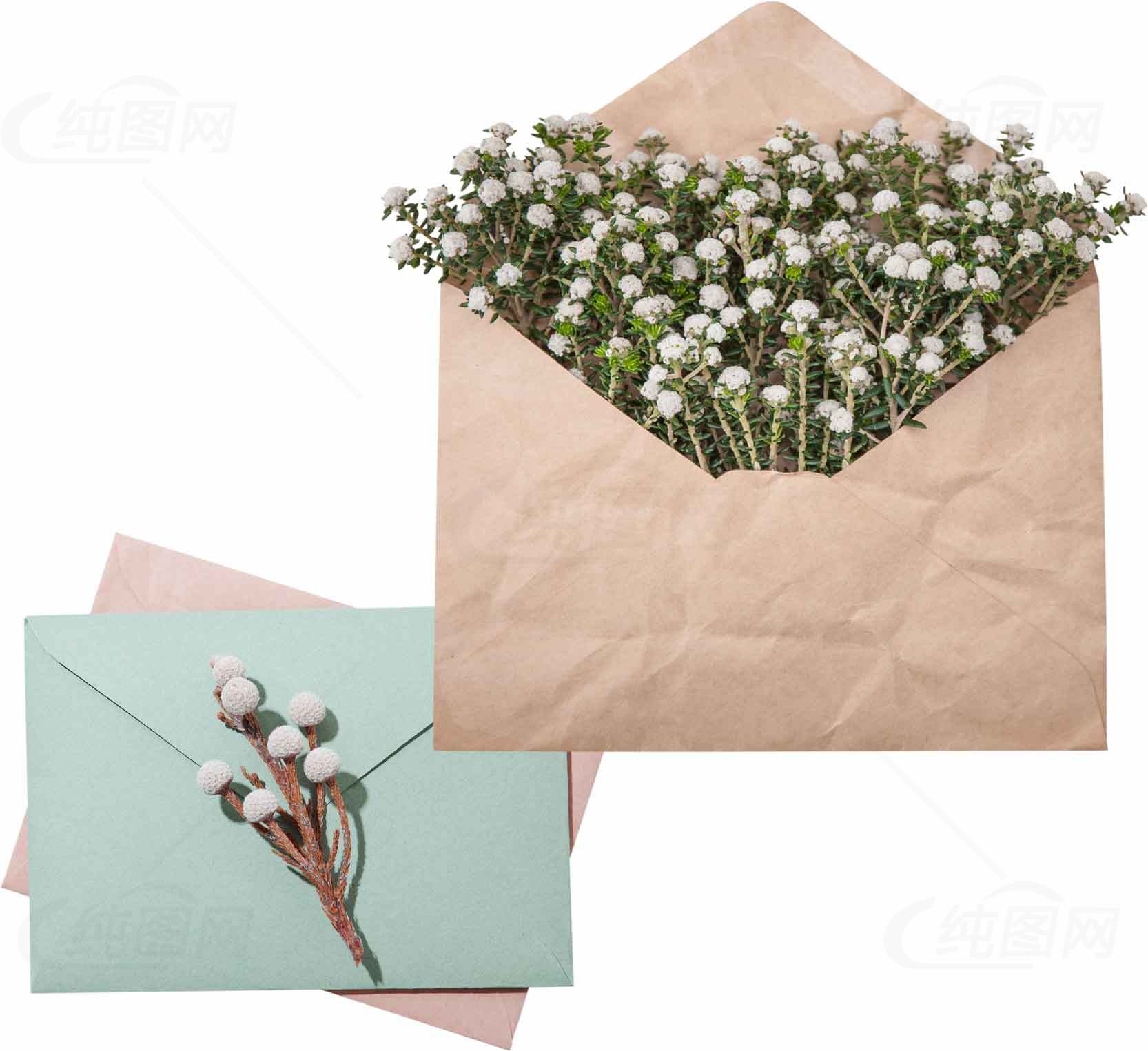 浪漫花卉信封设计图片素材