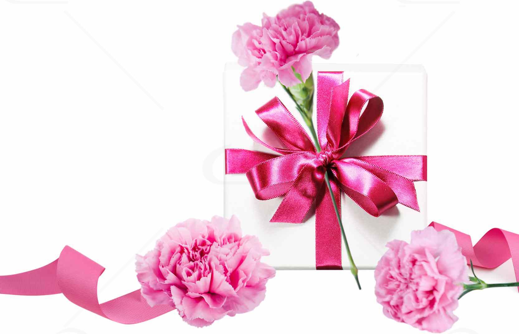 粉色康乃馨礼盒图片 - 母亲节礼物推荐素材