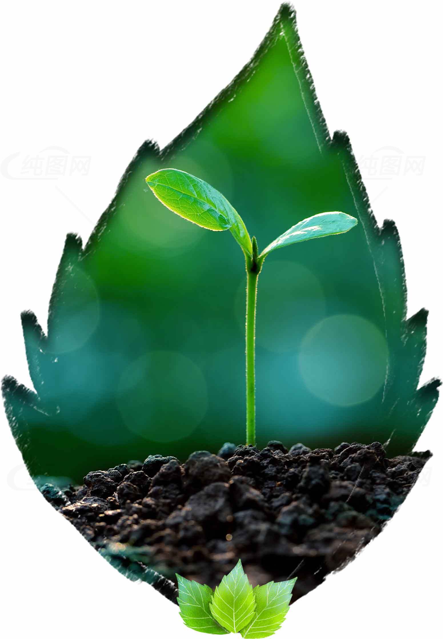 绿色环保植物生长图片素材