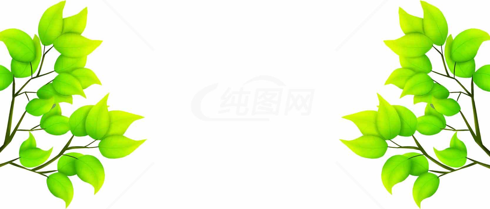清新绿色树叶边框背景图片素材