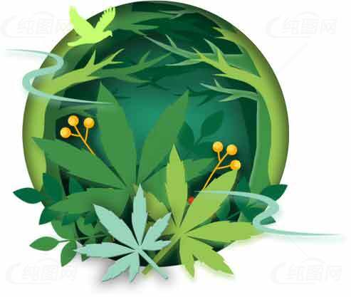 绿色自然与植物主题插画设计素材