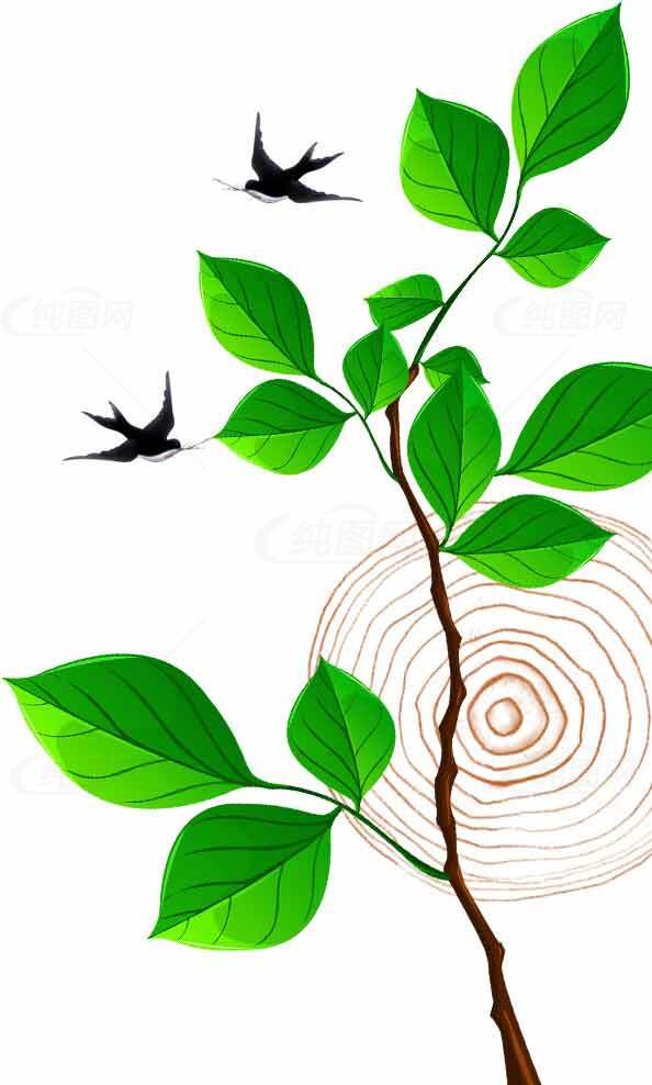 绿色树叶与飞鸟的自然插画素材