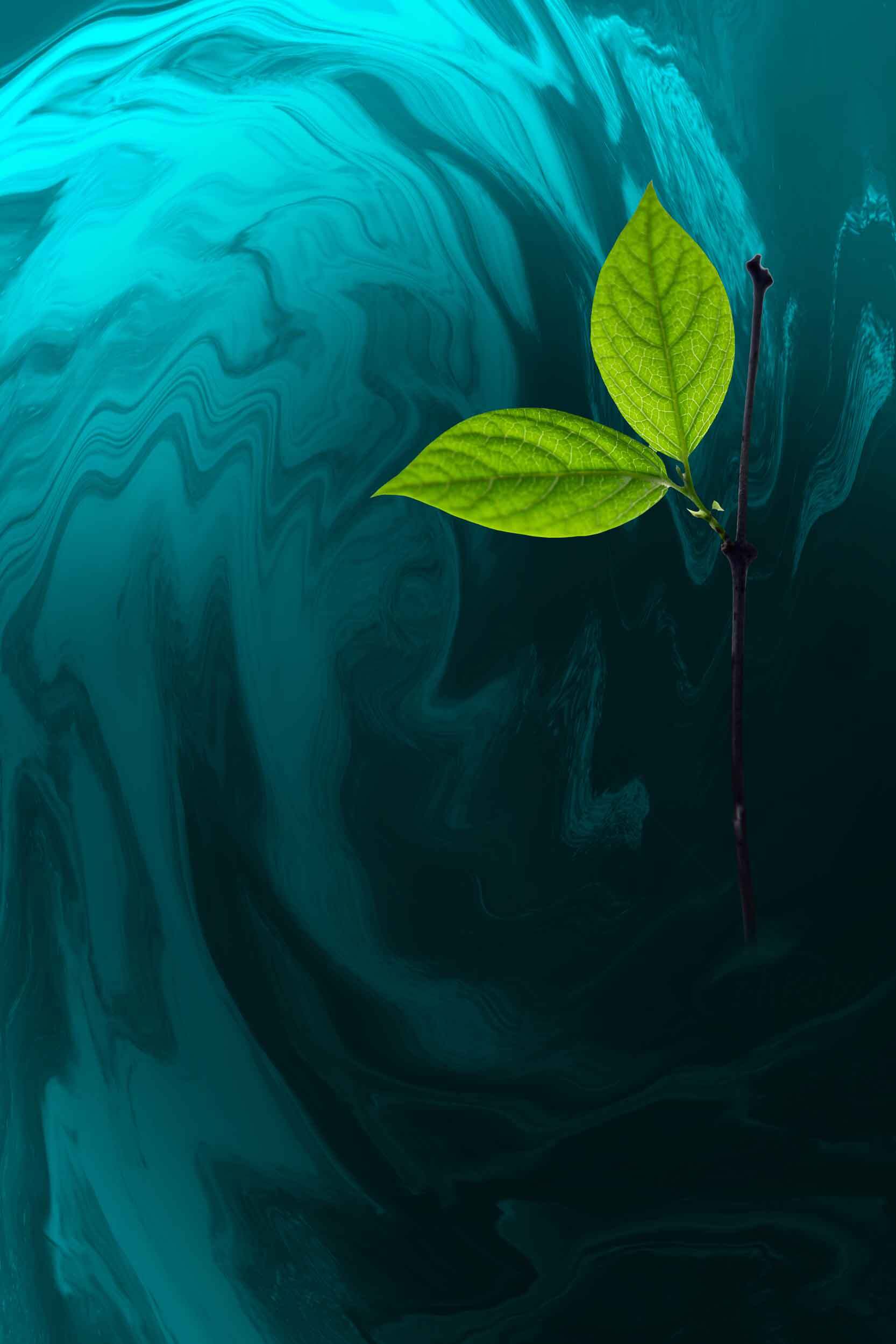 绿色叶子漂浮在深蓝背景上的自然艺术画面素材