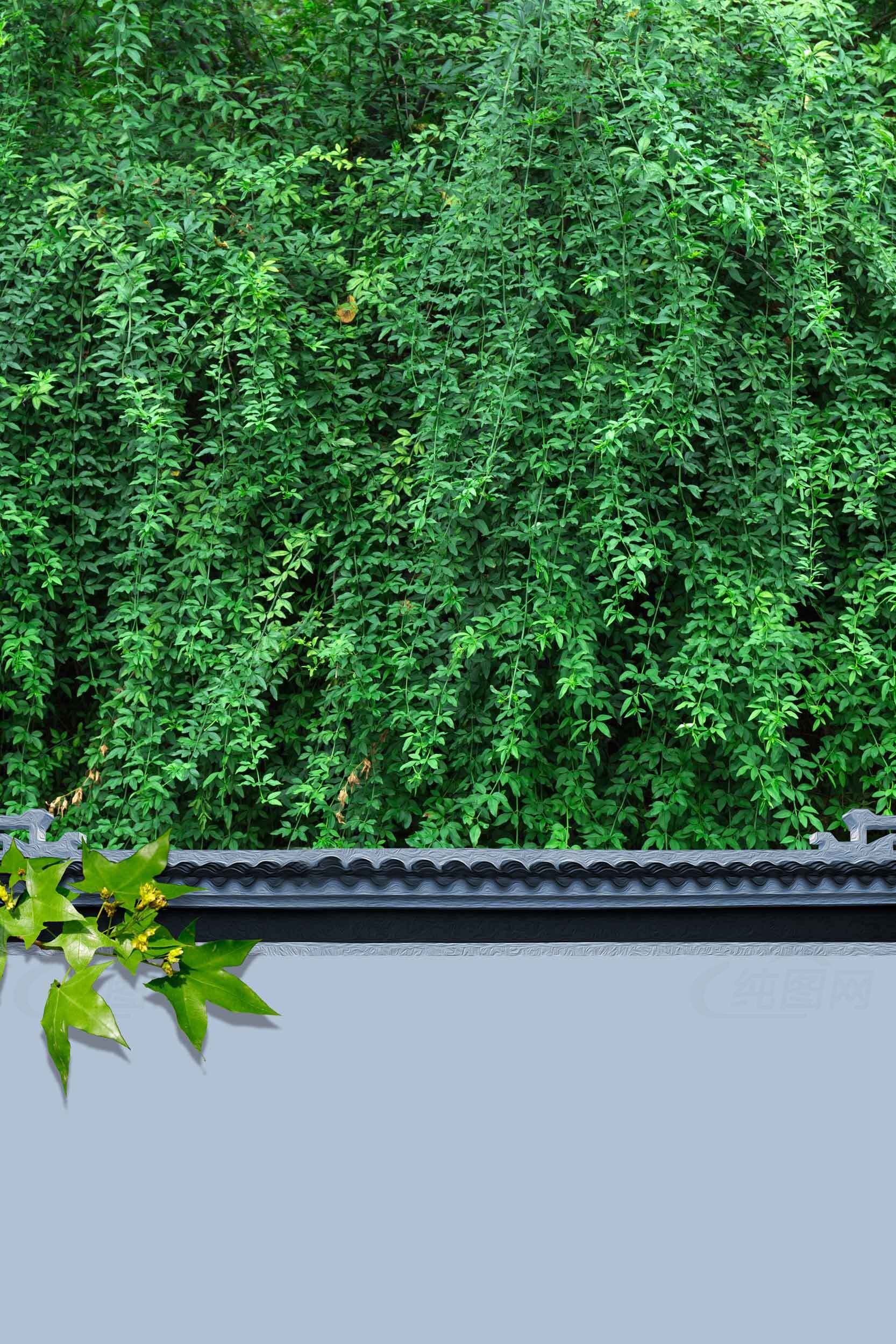 青翠绿植与中式灰墙的和谐美景素材