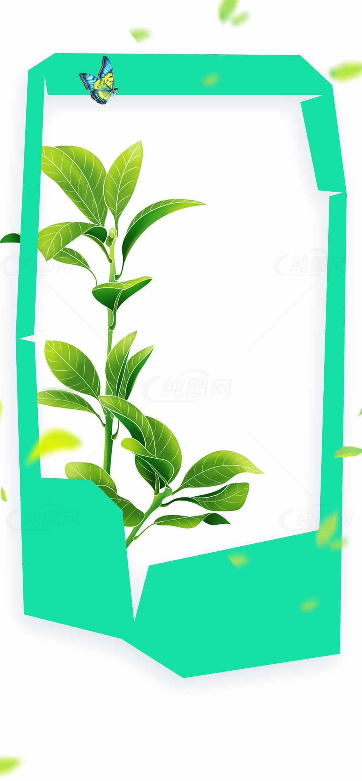绿色边框与绿植简约设计图片素材