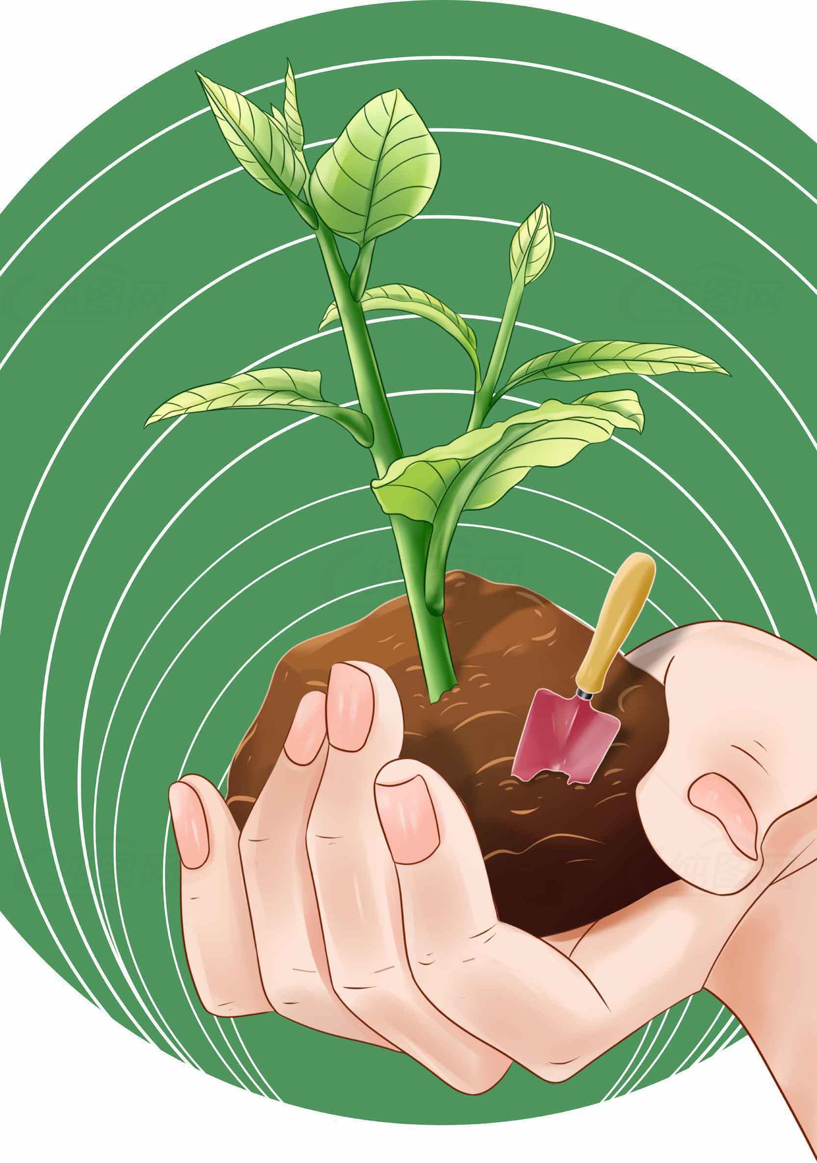 绿色环保植物种植插画素材