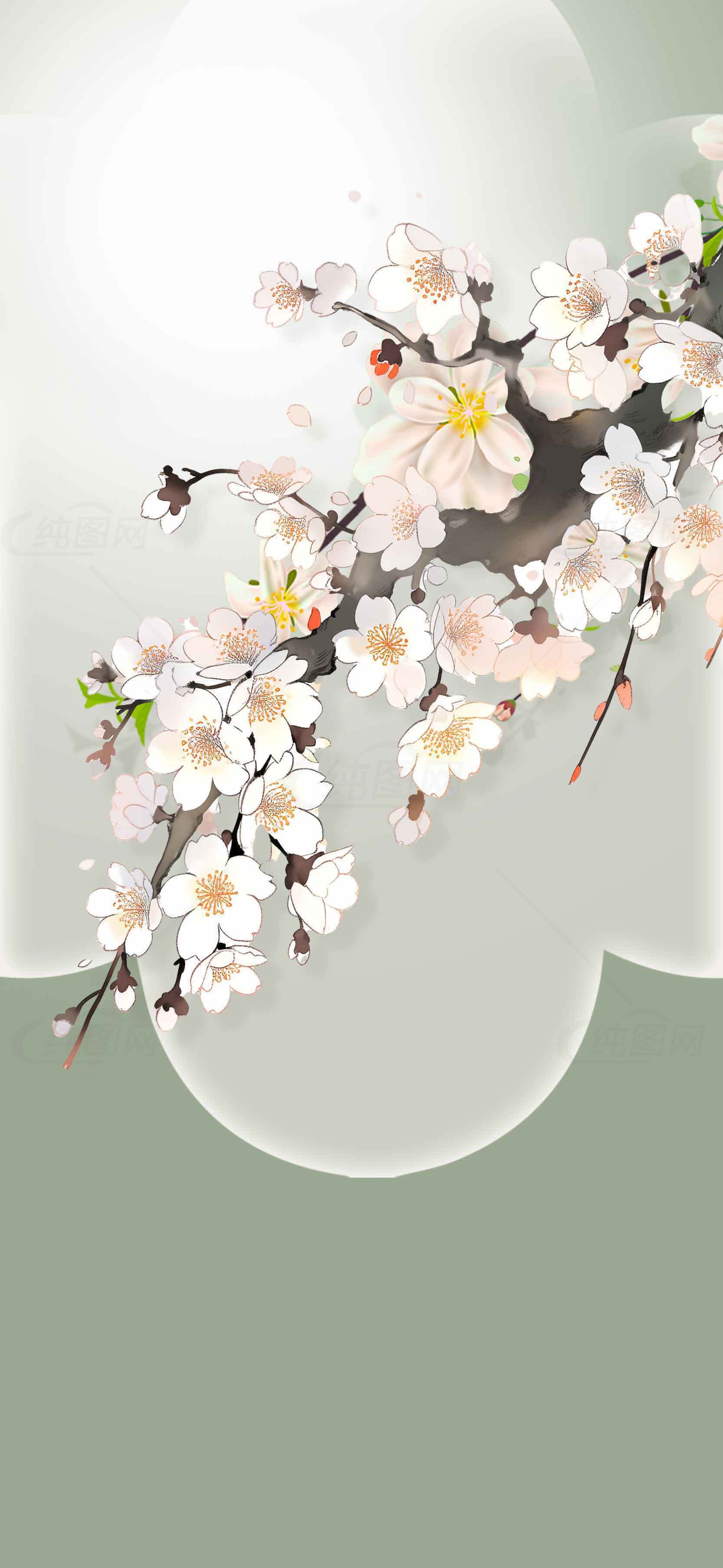唯美樱花插画背景图片 | 花卉主题设计素材