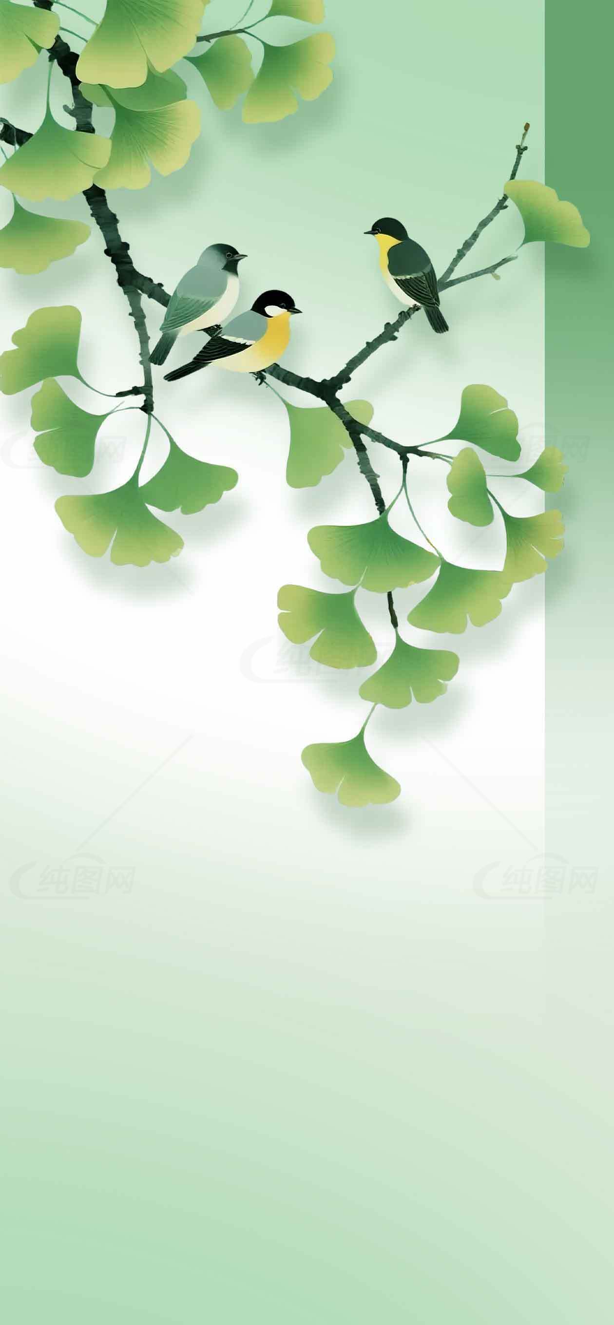 清新自然风格的绿色树叶与鸟插画背景图片素材
