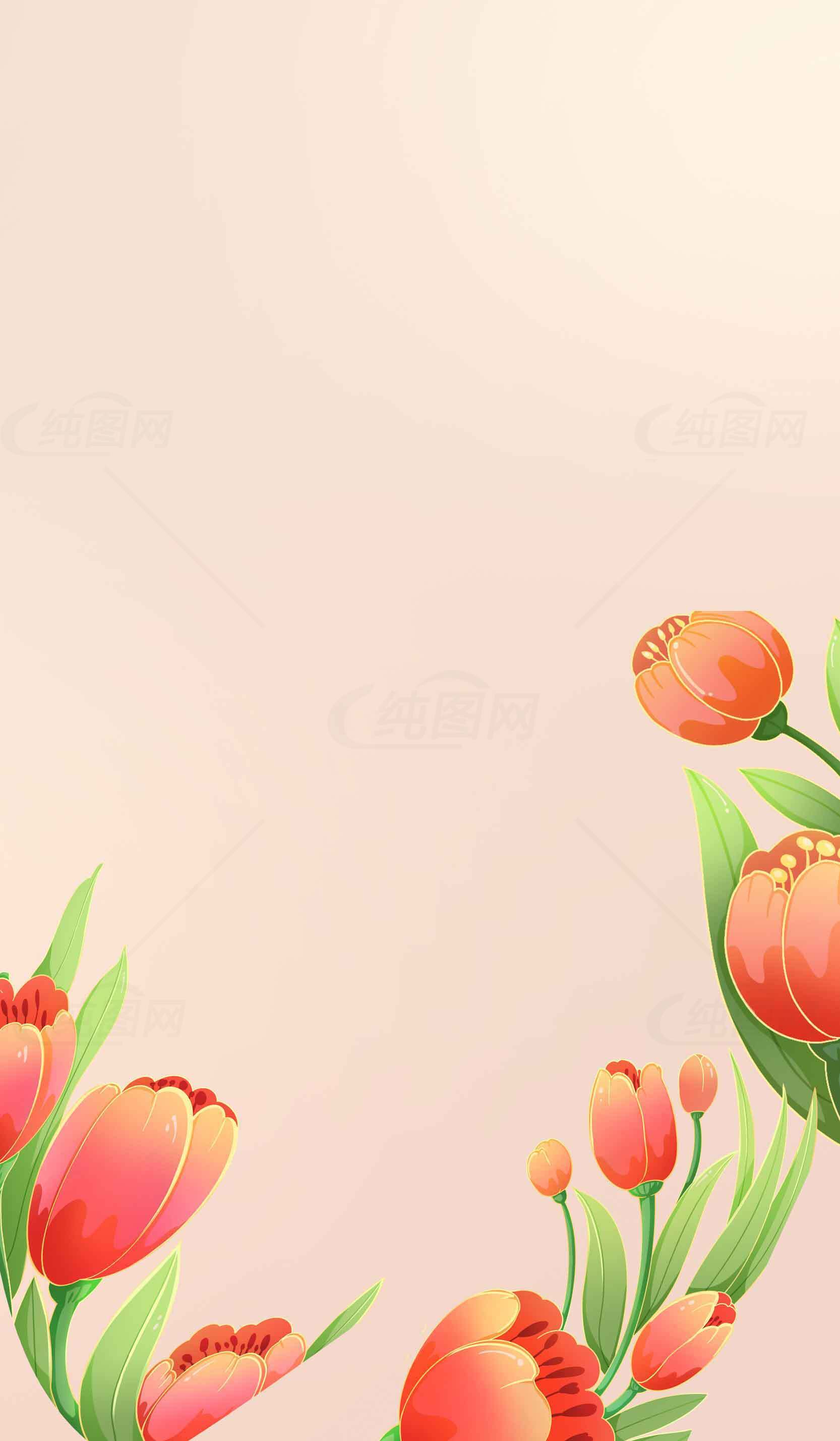 春季郁金香花卉背景图片素材